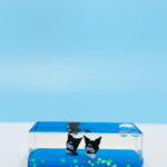 اکواریوم عروسکی